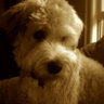 Kerry Russell Photo 40