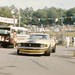 Steve Ross Photo 9