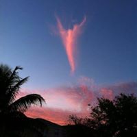 Janet Pacheco Photo 24