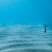 Patricia Royer Photo 19