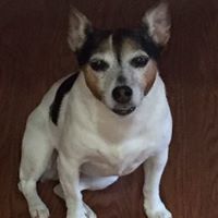 Cheryl Leavitt Photo 17