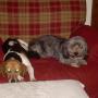 Barbara Vaughan Photo 27