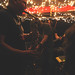 Mike Wolf Photo 2
