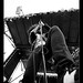Jeremy Talley Photo 8