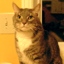 Susan Buchanan Photo 38
