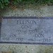 Don Ellison Photo 32
