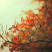 Mark Longfellow Photo 10