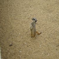 Laura Hales Photo 9