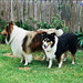 Bonnie Oliver Photo 7