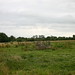 Walter Guth Photo 4