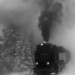 Frank Sturm Photo 14