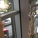 Irene Ortiz Photo 22