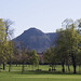 Arthur Meadows Photo 10