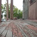 Carol Rust Photo 26
