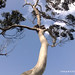 Victoria Witt Photo 33