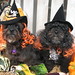 Debra Spells Photo 4