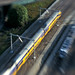 Timothy Haag Photo 14