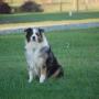 Linda Fischer Photo 32