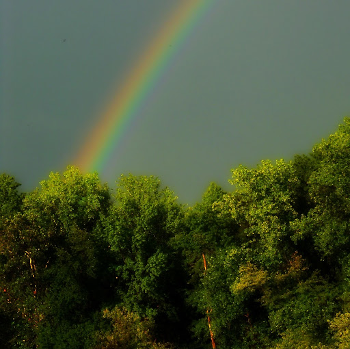Heather Wilson Photo 51