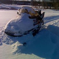 Josh Melcher Photo 7