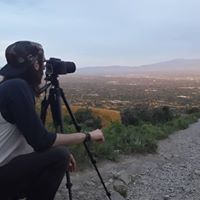 Tyler Ham Photo 3