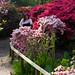 Sharon Richmond Photo 23
