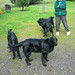 Arleen Wilson Photo 7