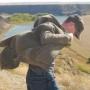 Daniel Hendrickson Photo 10