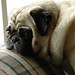 Betty Day Photo 32
