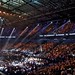 Shannon Briggs Photo 23