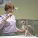 Laura Zinck Photo 5