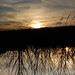 Anthony Green Photo 39