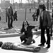 Sandra Krause Photo 16