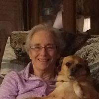 Ilene Devine Photo 1
