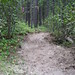 Rita Crews Photo 16