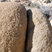Joshua Butts Photo 15