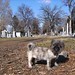 Jack Best Photo 4