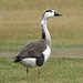 Jim Canada Photo 14