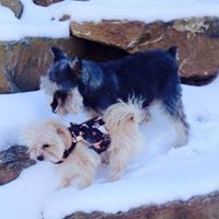 Debra Spaulding Photo 18