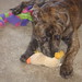 Brenda Bunker Photo 8