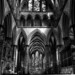 Christopher Wiltshire Photo 13