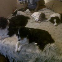 Jeffrey Randall Photo 43
