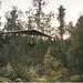 Janice Lamer Photo 7