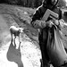 Robert Lamb Photo 54