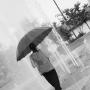 Cynthia Fontenot Photo 7