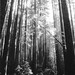 Edgar Armstrong Photo 6