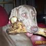 Janet Henson Photo 13