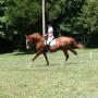 Elizabeth Boggs Photo 13