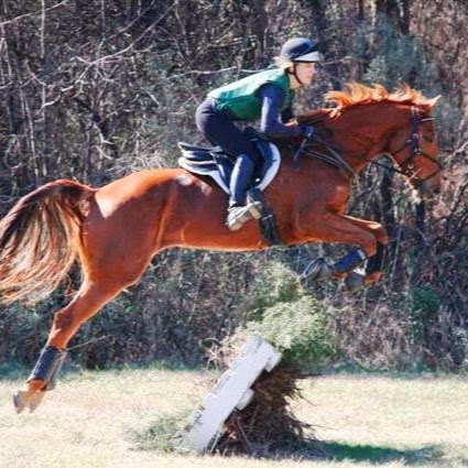 Susanne Mcdaniel Photo 9