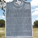 Catherine Wooten Photo 11